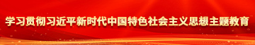 美女穴操逼学习贯彻习近平新时代中国特色社会主义思想主题教育