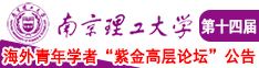 操逼视频网点直达南京理工大学第十四届海外青年学者紫金论坛诚邀海内外英才！